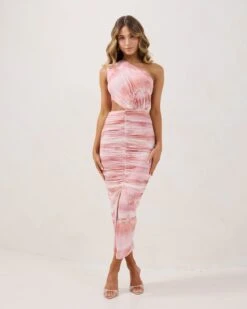 Nardine Dress-Pink Print